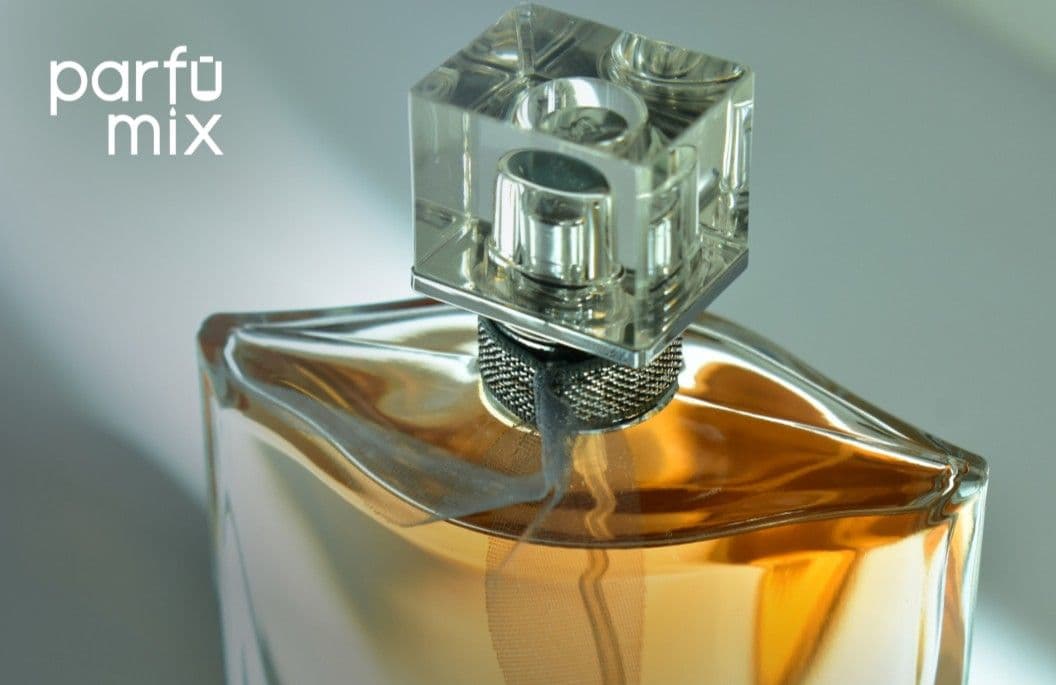 A featured image for this section