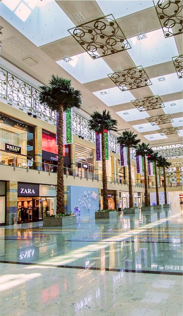 A featured image for this section