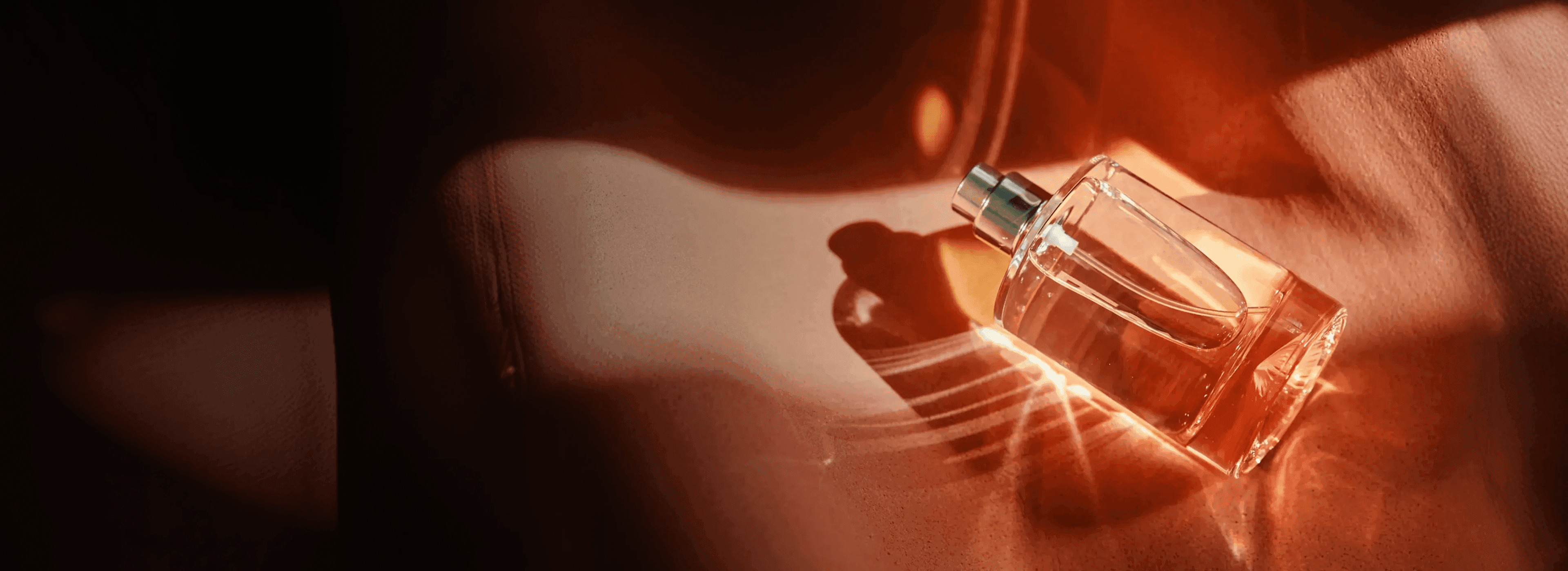 A featured image for this section